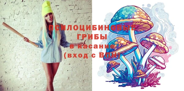 дмт Гусев