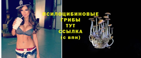 трава Гусь-Хрустальный