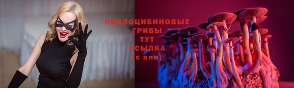 дмт Гусев