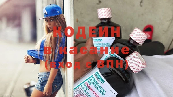 дмт Гусев