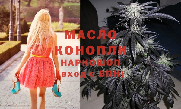 дмт Гусев