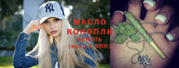 дмт Гусев