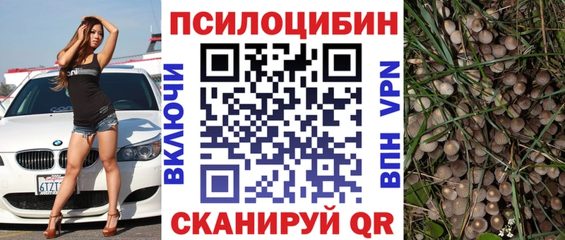 Купить  Ковдор  Псилоцибиновые грибы GOLDEN TEACHER 